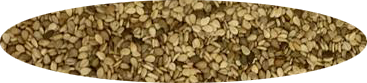 Natural Sesame Seeds