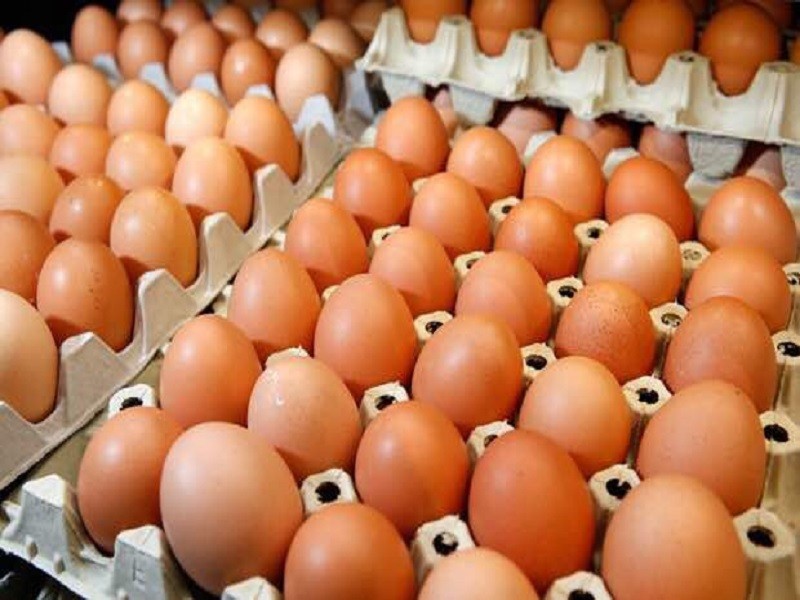 EGGS