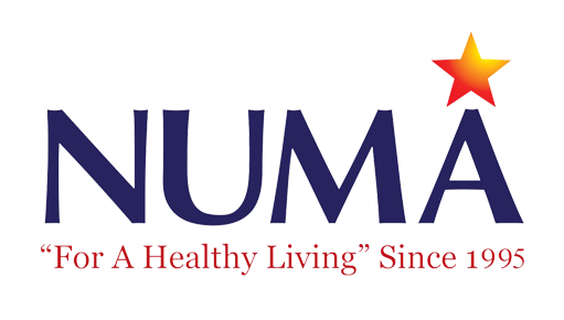 NUMA FEEDS