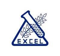 EXCEL INDUSTRIES LTD