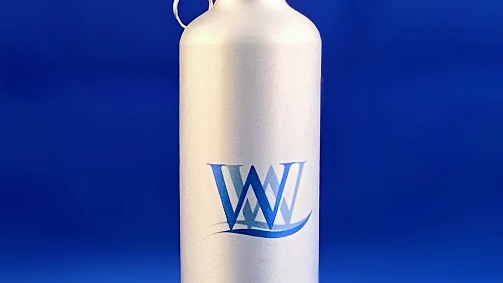 800ml - 1 x Reusable Metallic Bottle