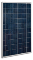 Solar Panel- Quartech CS6P-P Canadian Solar 250W