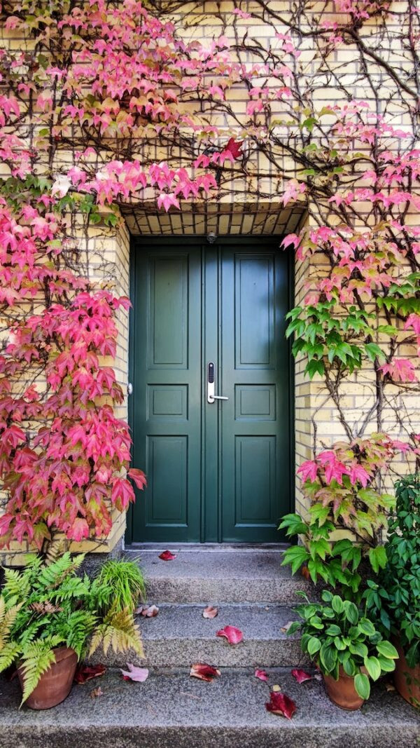 Kiboko Door Frames