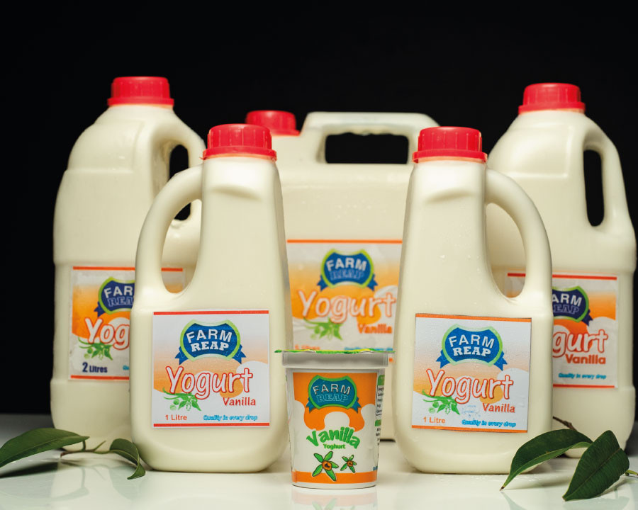 FARM REAP Vanilla yoghurt
