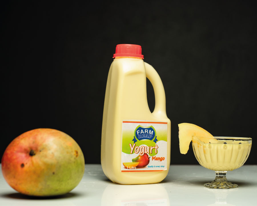 FARM REAP Mango yoghurt