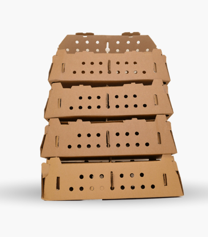 Chick Boxes